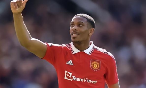 他们选择将 他们选择将